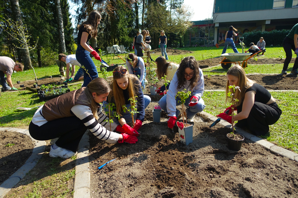 Neugestaltung des Schulgartens mit dem Logo