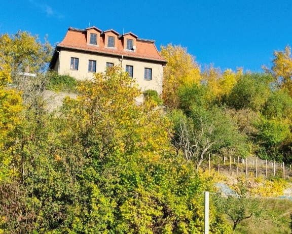 „Don Bosco unterwegs“ – Sachsen Anhalt entdecken / Don Bosco Zentrum Magdeburg