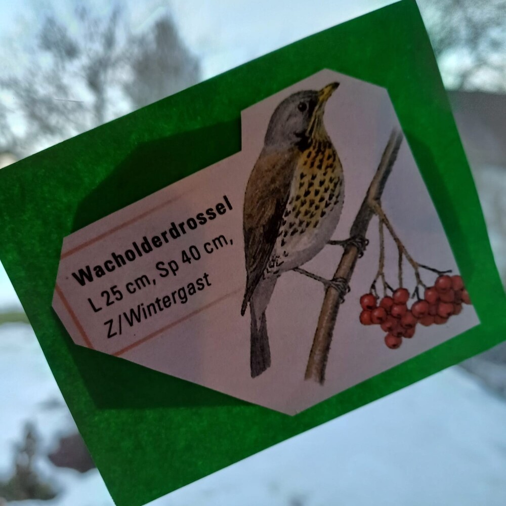 ... und die Spatzen pfeifen lassen